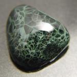 Chlorastrolite-001
