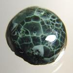Chlorastrolite-003
