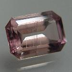 Diaspore-001