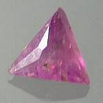 Manganoan Adamite-001